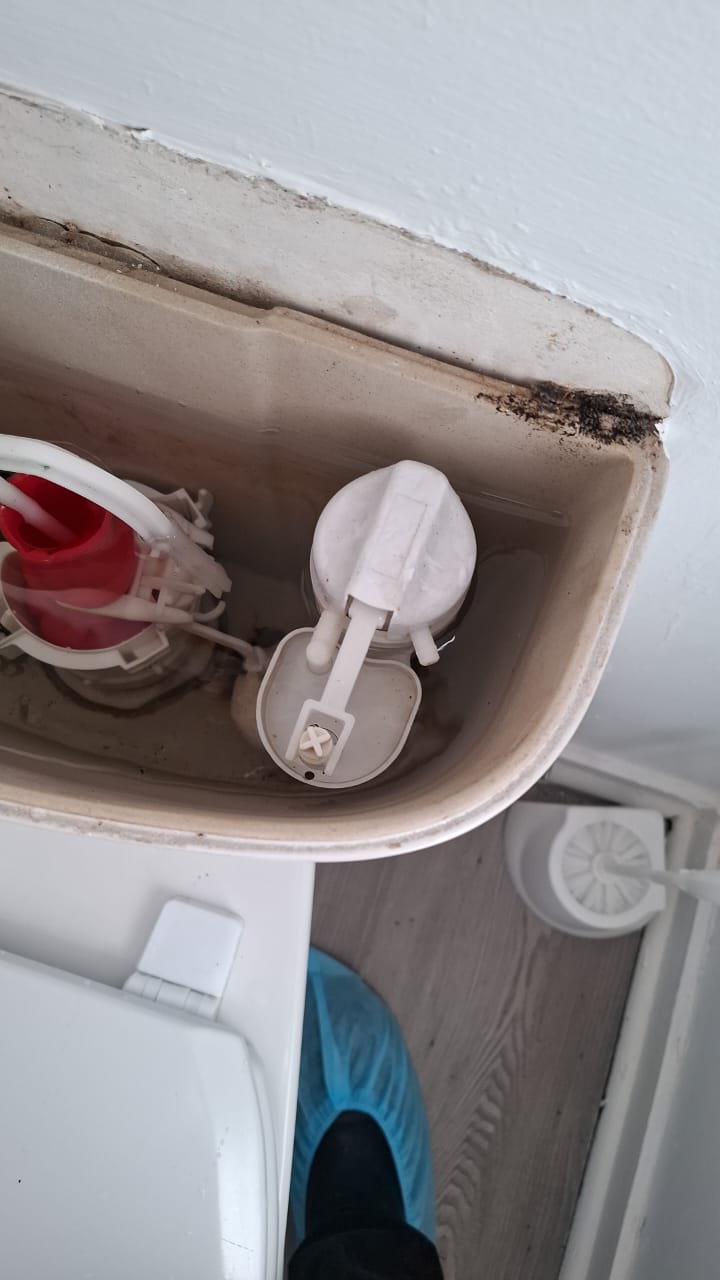 Plumbing Company service image for homes and businesses